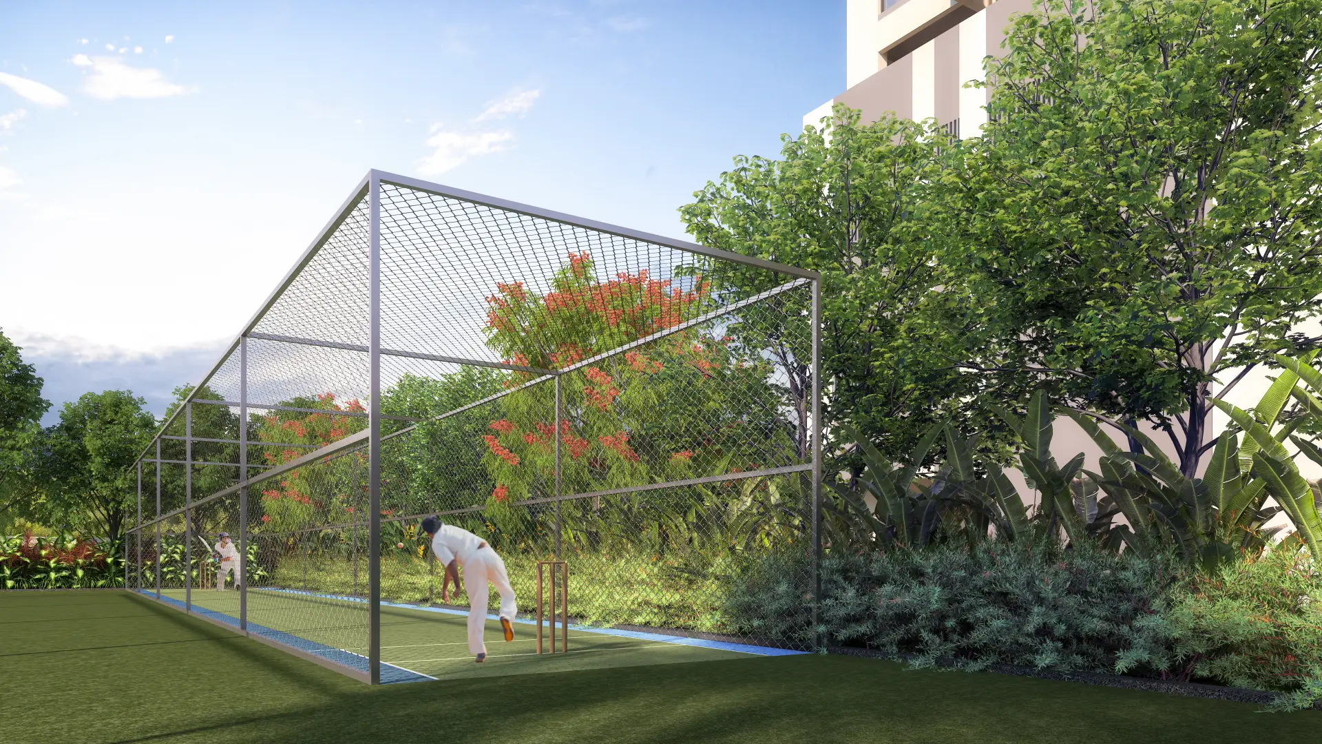 Cricket Pitch
